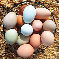 Easter in the Wine Valley