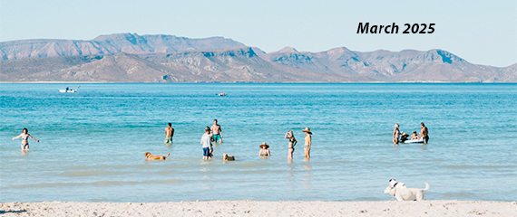 Baja Bound Mexican Insurance
